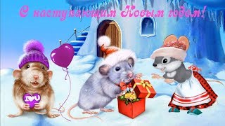 Футаж с наступающим новым 2020 годом, годом Крысы