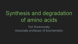 Synthesis and degradation of amino acids