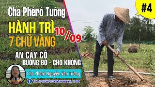 ▶ 04.Cha Tường Hành Trì 7 Chữ Vàng (10.09.2017) ✠ By NHÓM ÁI MỘ Cha Phêrô Nguyễn Văn Tường
