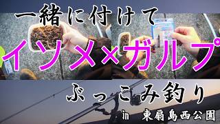 【東扇島西公園】アオイソメ×ガルプワームで冬のカレイ狙ってみる
