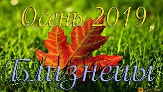 Близнецы. Осень 2019. Таро прогноз. 12 домов.