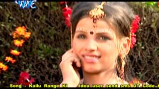 राधा प्यारी हो - Aail Mousam Fagun Ke | Pawan Singh | Bhojpuri Holi Song