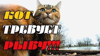 Рыбалка на окуня и щуку осенью на джиг микроджиг и воблеры!