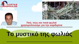 Εκτροφή καρδερίνας: Το μυστικό της φωλιάς!