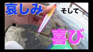 リバーシーバス 哀しみそして、喜びへ… 編