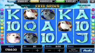 ACE333 สล็อตออนไลน์ FREE SPINS ของเกมส์ ARCTIC TREASURE โดย ACE333BIGWIN