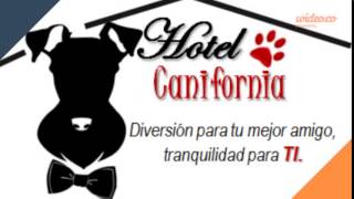 HOTEL CANIFORNIA - by Wideo.co