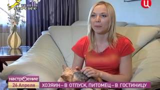 Передержка животных на дому и в зоогостинице, от канала ТВ Центр