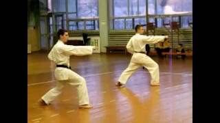 Международная аттестация под руководством Manabu Murakami 7 Dan SKIF.