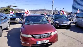 Freedom for Fox: ახალი აქცია "ნაცმოძრაობის" ლიდერ ნიკა მელიას მხარდასაჭერად