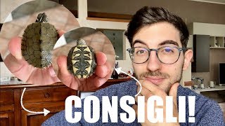 CONSIGLI Pre-ACQUISTO Tartarughe d'Acqua Dolce! Cosa SAPERE!