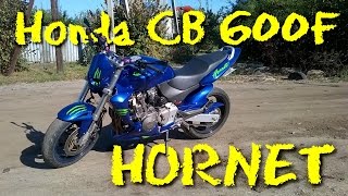 Тест-драйв | Honda CB 600F Hornet