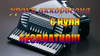 Гимн России на аккордеоне как играть урок#6