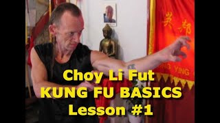 SHAOLIN KUNG FU ONLINE - 蔡李佛  - Choy Li Fut Basics - LESSON ONE