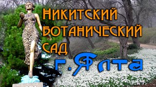 Никитский Ботанический сад в Ялте