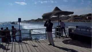 Egypt molo Sharm el sheikh Hotel Rehana Royal Beach Resort 2011