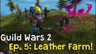 Guild Wars 2 | Episode 5: Best leather farm 2017