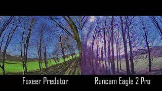Foxeer Predator vs Runcam Eagle 2 Pro | FPV Camera Comparison
