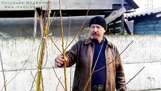 Как формировать персик