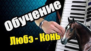 Разбор Песни Любэ Конь на Аккордеоне ( обучение на баяне ) lube on Accordion Уроки