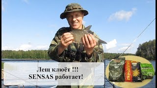 Лещ. Лещ на фидер. Рыбалка на фидер. Фидер для начинающих. Fishing