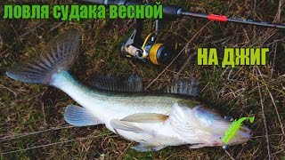Ловля судака весной.На джиг с берега 2017