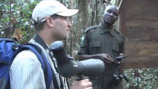 Birds & More: Ugandan Safari