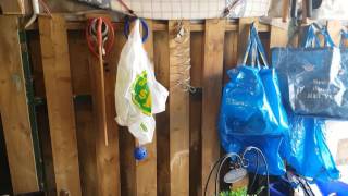 12 Brilliant Garage Decluttering Tips!
