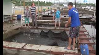 Телевести Лысьва 10 июля 2015