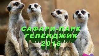 Сафари парк Геленджик. Новости Сафари-парка 2016. Участники проекта Телеморе посетили Сафари-парк