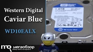 Обзор WD Caviar Blue 1Tb