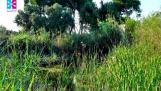 Relaxing Meditation Music "Spiritual Retreat"
