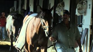 Beholder Update
