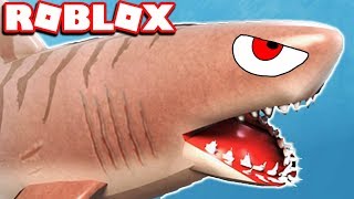 BUYING THE MEGALODON GAMEPLAY IN ROBLOX SHARKBITE *UPDATE*
