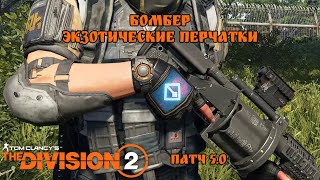 Бомбер и экзотические перчатки. The Division 2. TU5