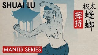 Taiji mantis kung fu form: Shuai Lu tutorial trailer
