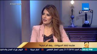 رأي عام - المسؤول عن دار لمسة حياة لإيواء الحيوانات المشردة يروي سبب دخوله مجال الرفق بالحيوان