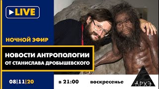 Ночной АРХЭфир "Новости антропологии от Станислава Дробышевского"