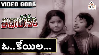 O..Koyila Song from Ida Lokam movie | Sobhan Babu | Sharada