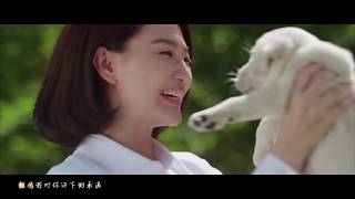 OST HOA KHÔI VÀ CẢNH KHUYỂN  | Phim Hành Động Trung Quốc