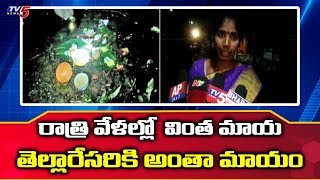 రాజమండ్రిలో వింత చెట్టు..| Mystery Tree in Rajahmundry | TV5 News
