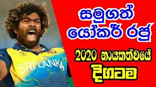 විස්සයි විස්සේ නායකත්වය සමුගත් මාලිංගටම Lasith malinga