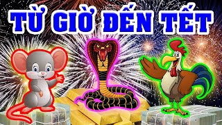 TỪ GIỜ ĐẾN TẾT 2021, 3 Con Giáp CHẮC CHẮN 100% ĐỔI ĐỜI, Ôm Cục Tiền Thống Trị Thiên Hạ