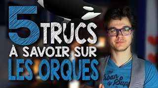 CHRIS : 5 Trucs à Savoir Sur Les Orques