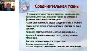 Лекция "Соединительная ткань. Результаты лечения и практические наработки" 15.02.2018г.