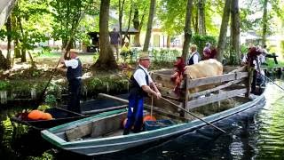 Kahnkorso Lehde / Spreewald 2016 (25. Lehde-Fest)