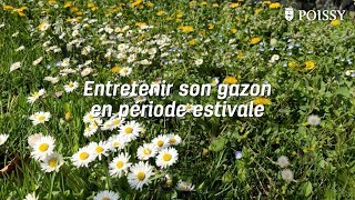 RENDEZ-VOUS AU JARDIN : ENTRETENIR SON GAZON EN PÉRIODE ESTIVALE