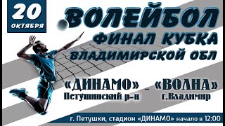 Финал Кубка Владимирской области по волейболу 2019 года среди мужских команд