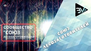 Союз Лесозаготовителей. Харвестеры и Форвардеры. Видеоролик создан видеостудией "БлогоВидео"