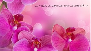 Циркон-средство для орхидей???
